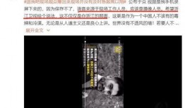 奚安娜员工爆料视频,揭秘幕后的真实故事