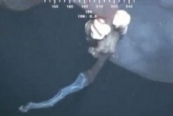 深海幕后爆料视频大全下载,视频大全下载背后的故事