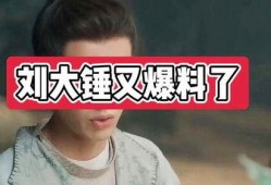 刘大锤最新爆料王奕是谁,王奕身份之谜，真相即将揭晓！