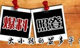 新闻爆料哪个平台最好用,新闻爆料，哪个平台成为最佳爆料利器？